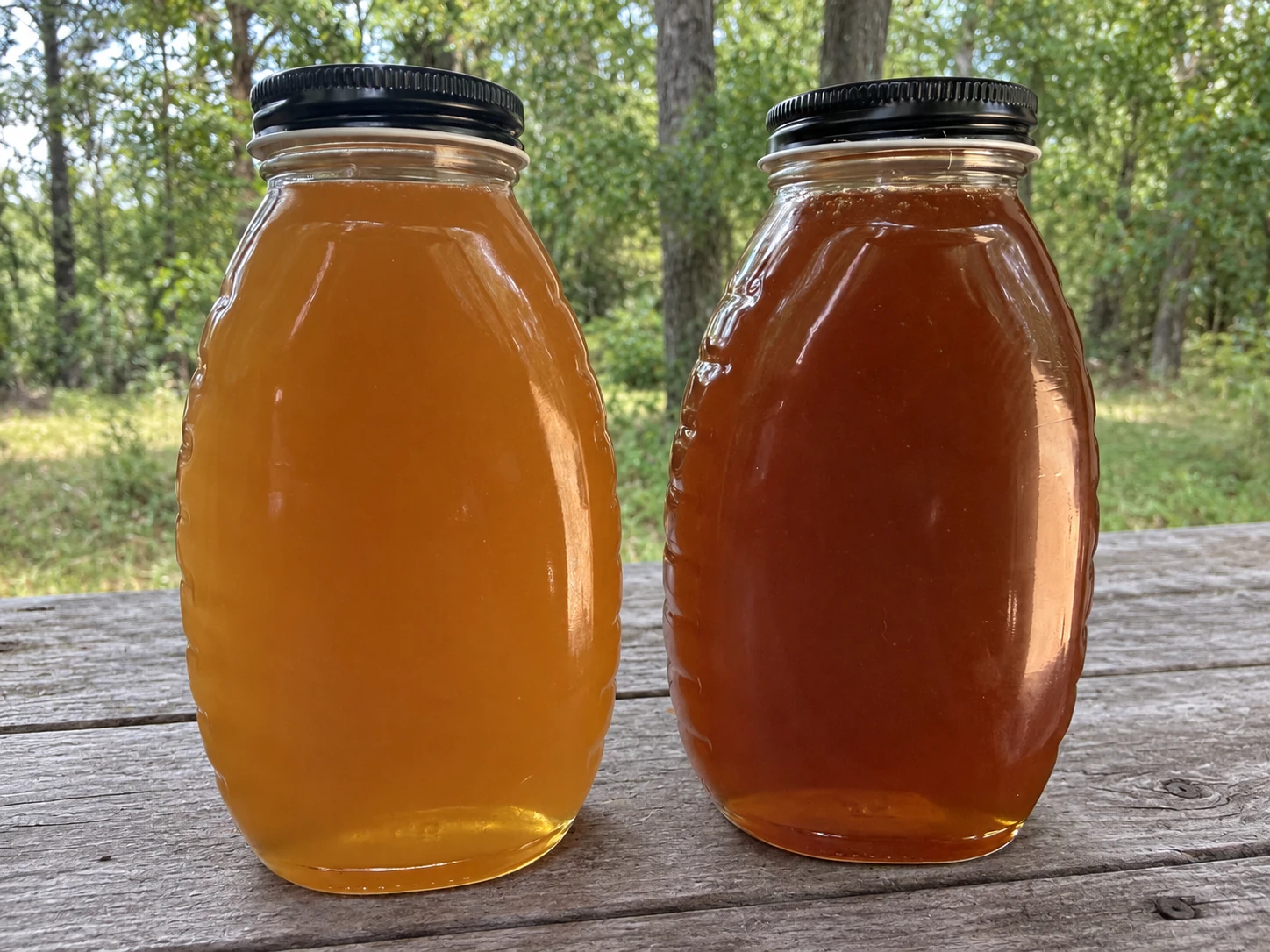 Two jars of honey on a weathered wooden table outdoors, one golden and one darker amber